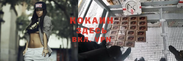 дживик Аркадак