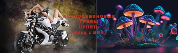 дживик Аркадак