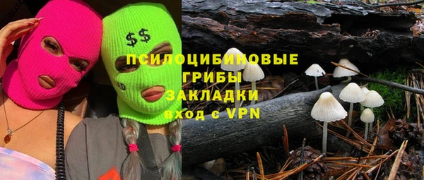 дживик Аркадак